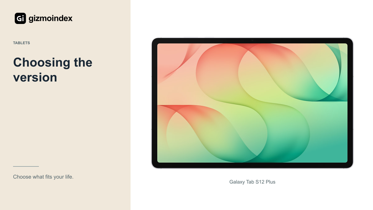 Choosing the version: Galaxy Tab S12 Plus