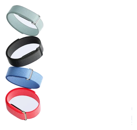 Google Fitbit Air